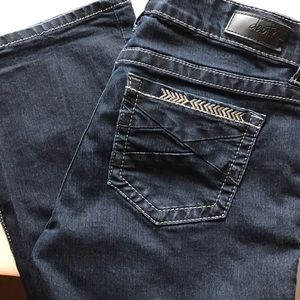 Like New Daytrip Jeans